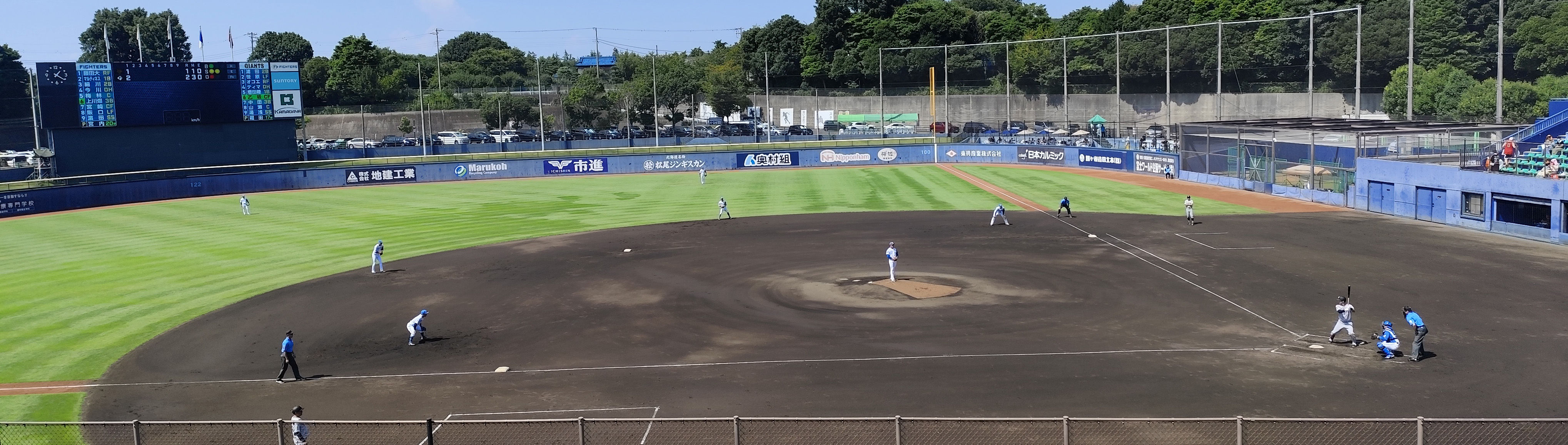 国内野球観戦